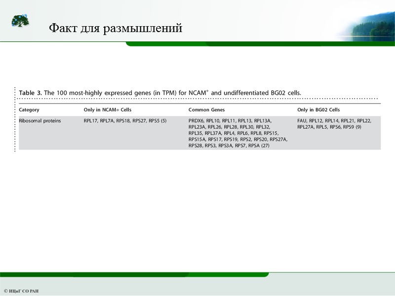 Факт для размышлений